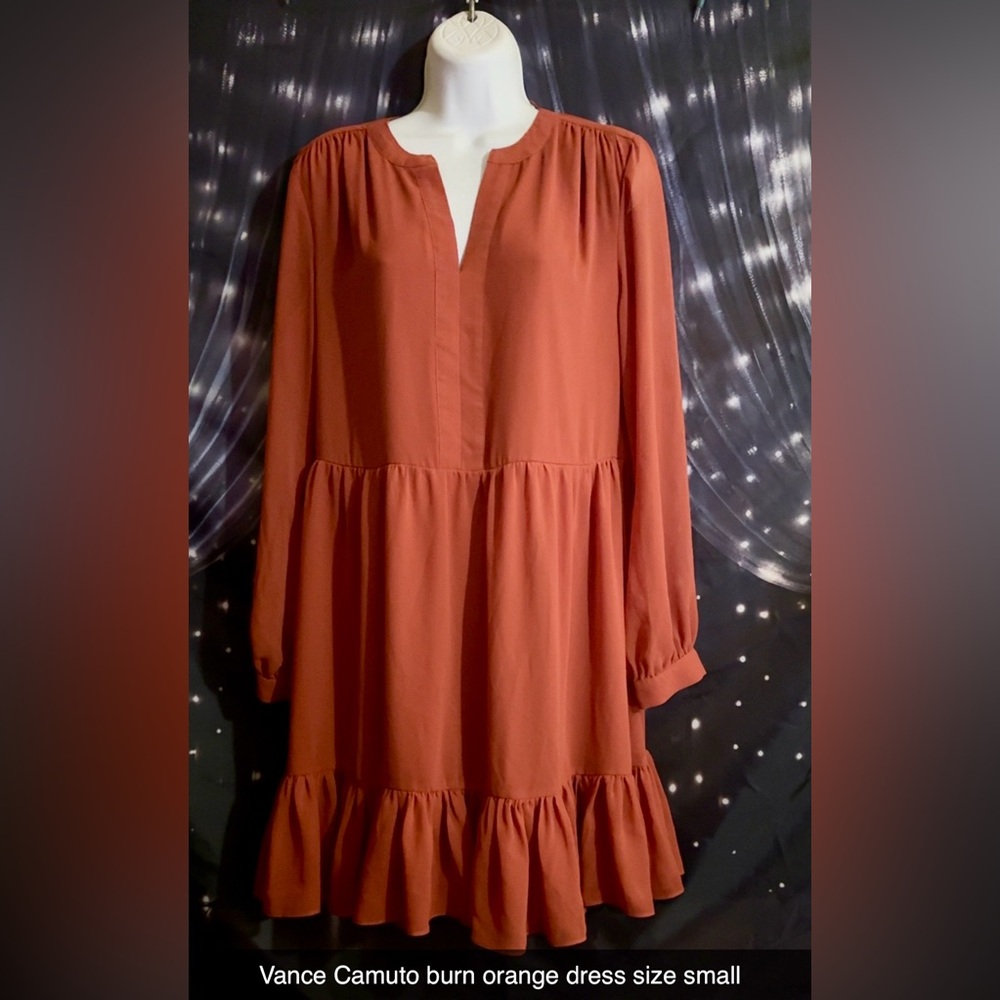 Chic Long Sleeve Rust Dress